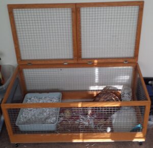 A rabbit hutch made for the babies we still have